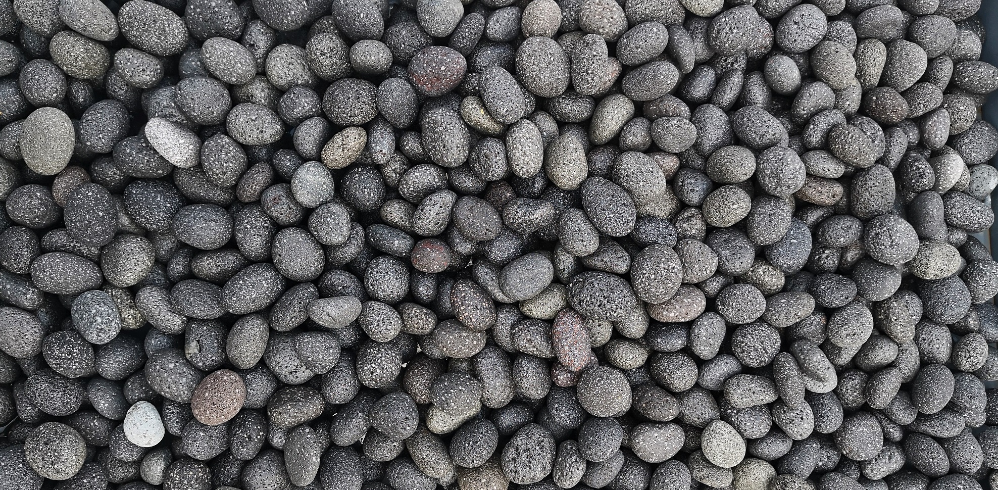otoczak lava black