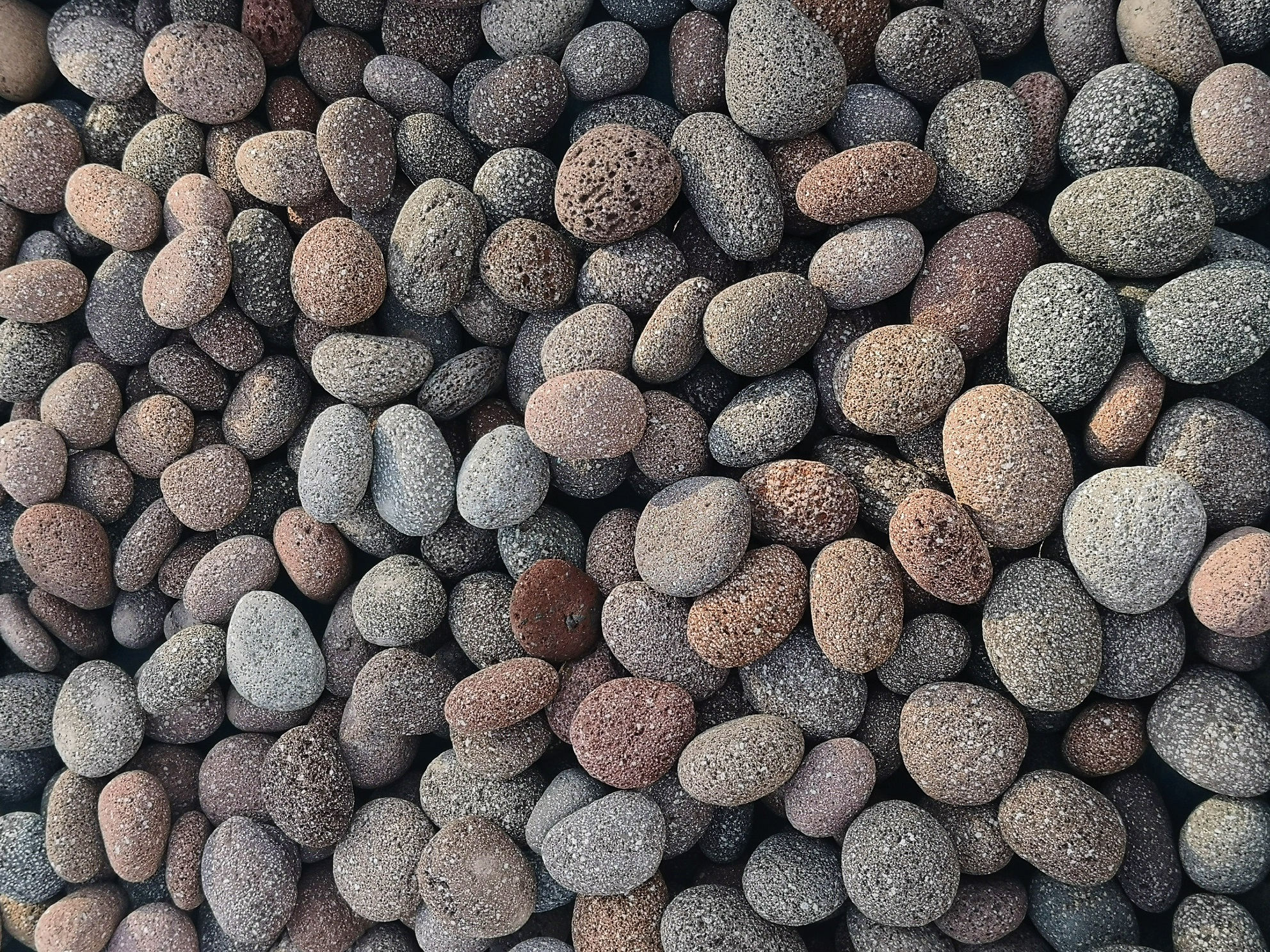 otoczak lava red