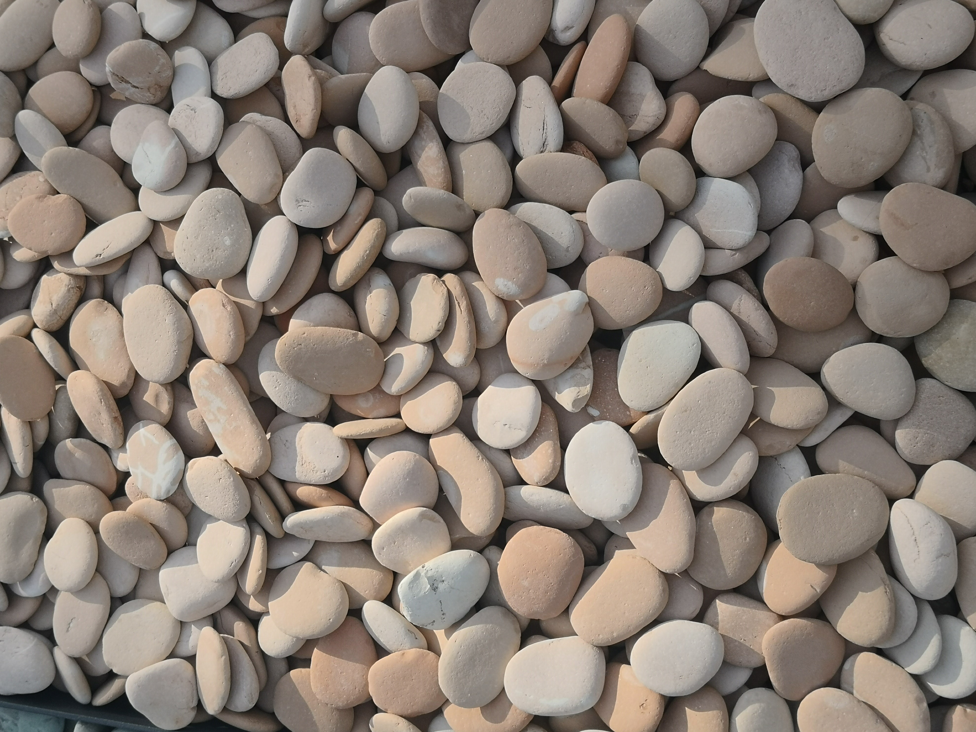 otoczak pink pebles